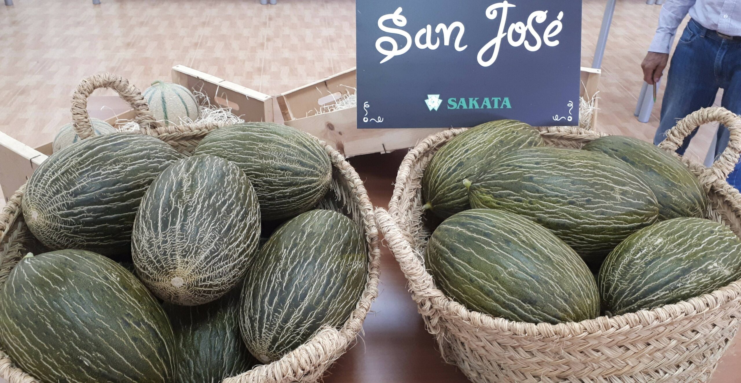 Sakata-melon-SanJose|Sakata-melon|Sakata-melon-SanJose-2